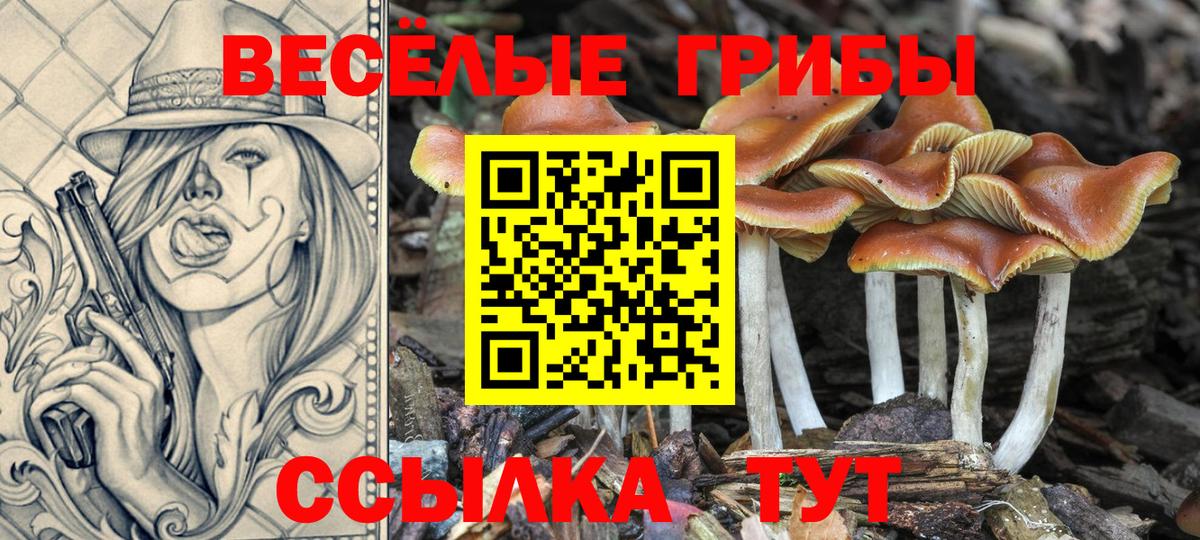 Псилоцибиновые грибы Cubensis  где можно купить наркотик  Кинель  Вход с VPN 